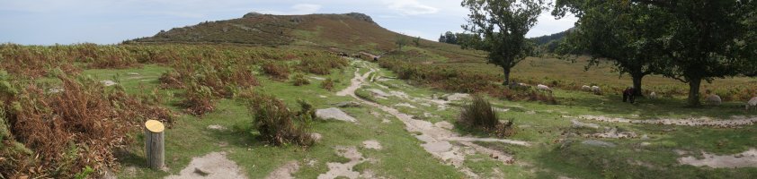 Altsanga mendebaldetik