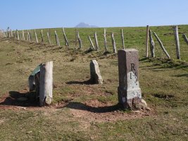 R14 mugarria Erentzazun