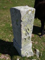 R24 mugarria Larrunen