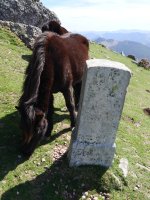 R24 mugarria Larrunen