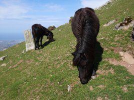 R24 mugarria Larrunen