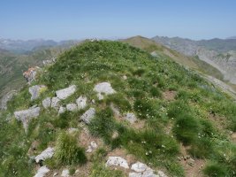 Pic d'Anéou tontorra