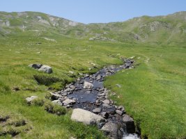 Errekastoa, Plaa de la Gradillèreko larreetan barrena