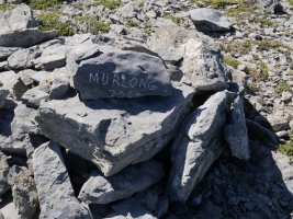 Tontorreko harripila, Murlong