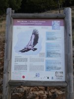 Saien begiratokiko panel informatiboa