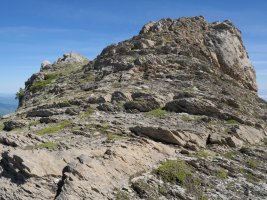 Tontorrerako azken txanpa hegoaldeko bizkarretik