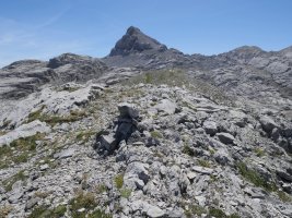 Latras menditik gora, hurrengo tontorra