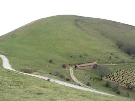 Lizartzu, Mailarreta aldetik ikusita