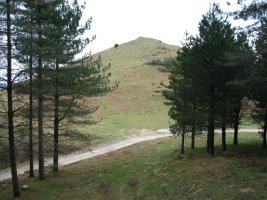 Basandegi hegoaldeko lepotik