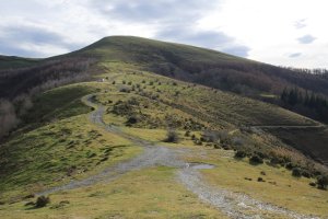 Lizartzu IMko bizkarretik