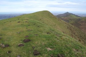Lizartzu tontorra bere hegoaldeko bizkarretik