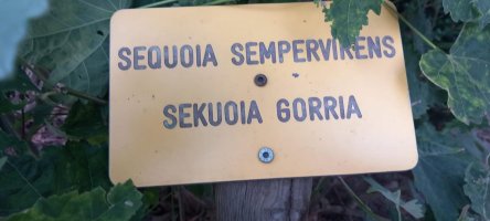 Udalak jarritako kartela