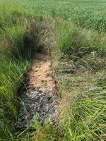 Ilarragorri. 9 de junio de 2025