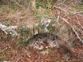 Zubia, Arriano-Kuartango