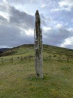 Kurtzegan (Kolometa) Zutarria