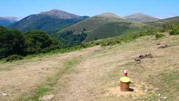 Txangoa, Soroluzeko lepotik