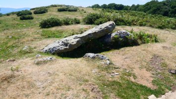 Soroluxe trikuharria