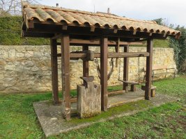 Perratokia, Pinedo-Gaubea