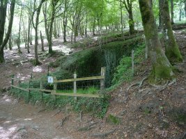 Elurretxeko elurzuloa