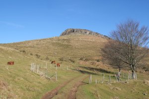 Alkurrutz Zuretako lepoaren ingurutik