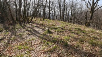 Zarranzmendi gailurra