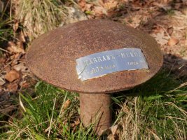 Zarranzmendiko txartelontzia