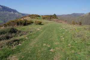 Argixugaña gailurra