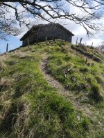 Malkorraundi tontorra