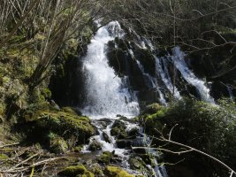 Antzubiaga ur-jauzia