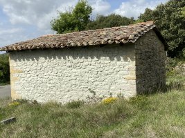 Las Animas Ermita. Erriberagoitia (Barron)