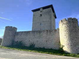Mendozatarren Dorrea. Gasteiz (Mendoza)