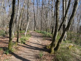 Beuntzako Gaina (tarteko muinoa)