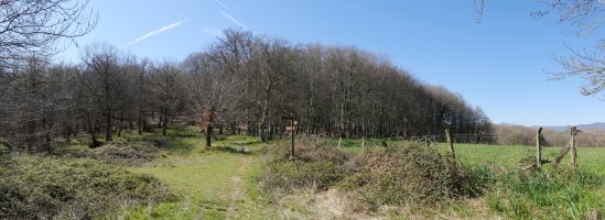 Gorrontz aldeko lepoa