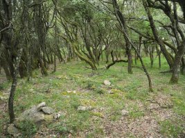 Harripila batzuk erakusten dute bidea gain aldean. Illunbeta.