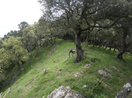 Illunbeta gailurra mendebaldetik