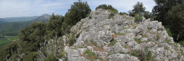 Peña del Mayo tontorra