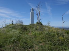 Ekoiengo Gaina, tontorra