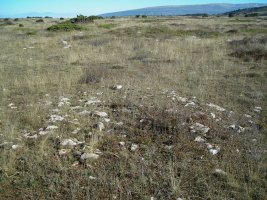 alto de la mazorra