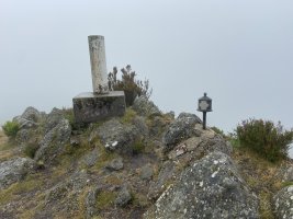 Tontorra