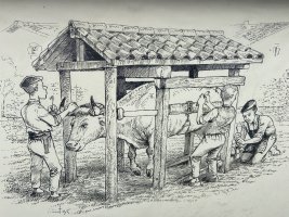 Perratokia. Gaubea (Lalastra)