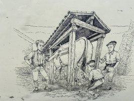Perratokia. Gaubea (Lalastra)