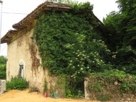Maestu errota, Maeztu-Arraia maeztu