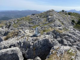 Tontorra