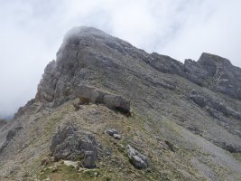 Gorreta d'os Gabachos iparraldeko lepotik
