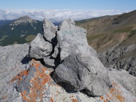 Anzotiello tontorra