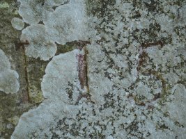 115. mugarria Urrixka mendiaren tontorrean