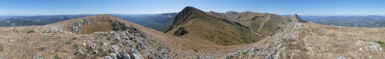 Panoramika osoa Artubi gainetik