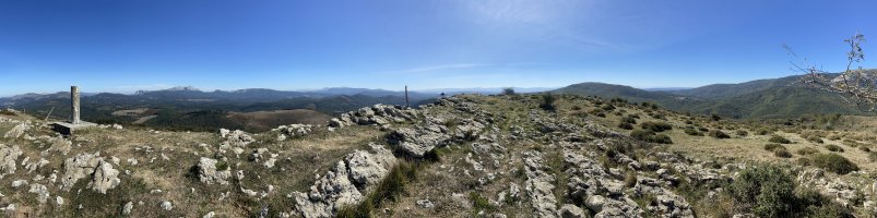 Tontorra