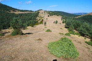 Milingrate aldeko pasarte bat