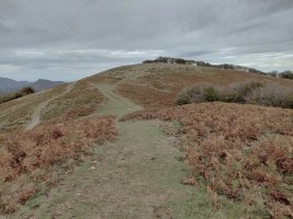 Atxuela